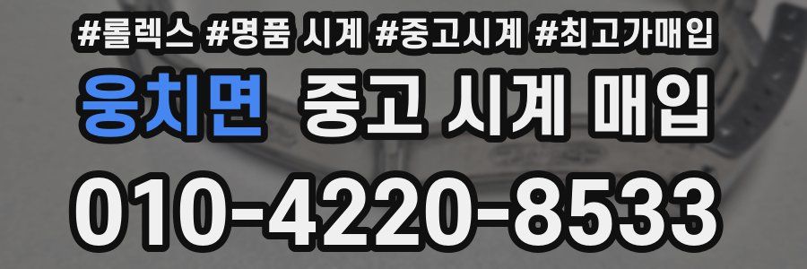 웅치면 중고 시계 매입