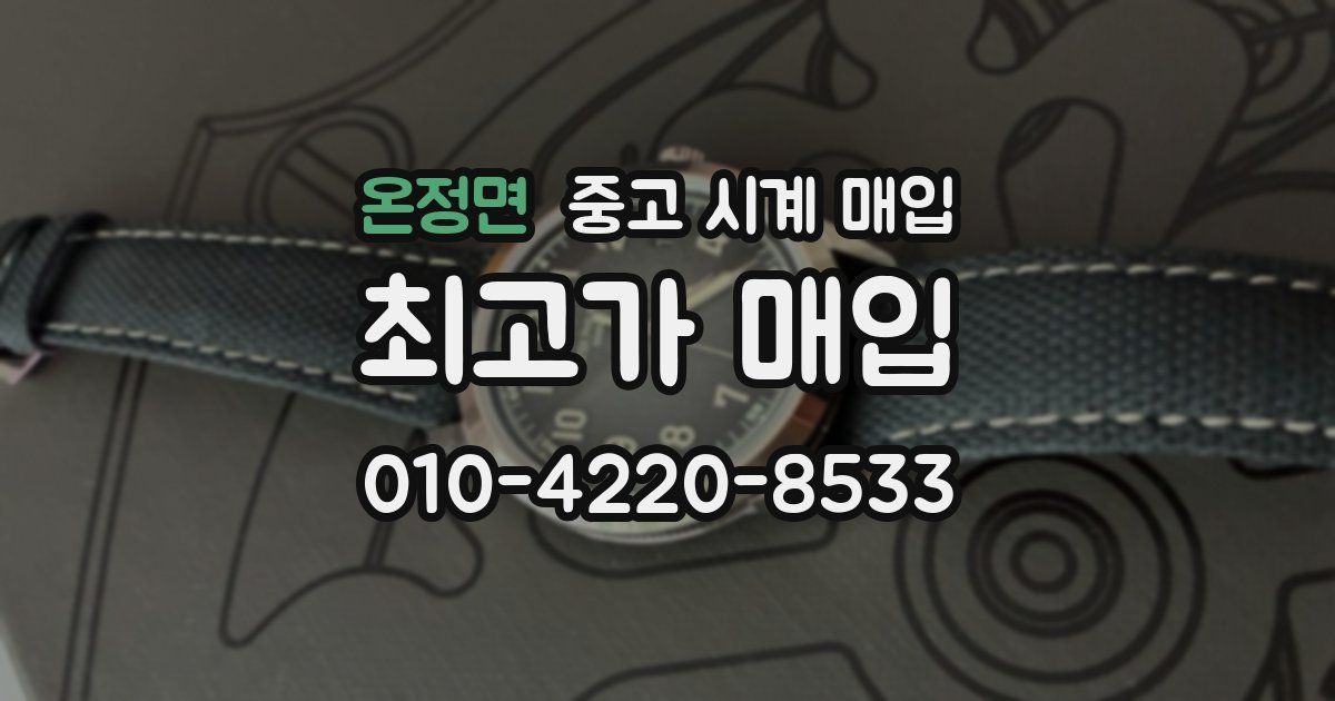 온정면 중고 시계 매입
