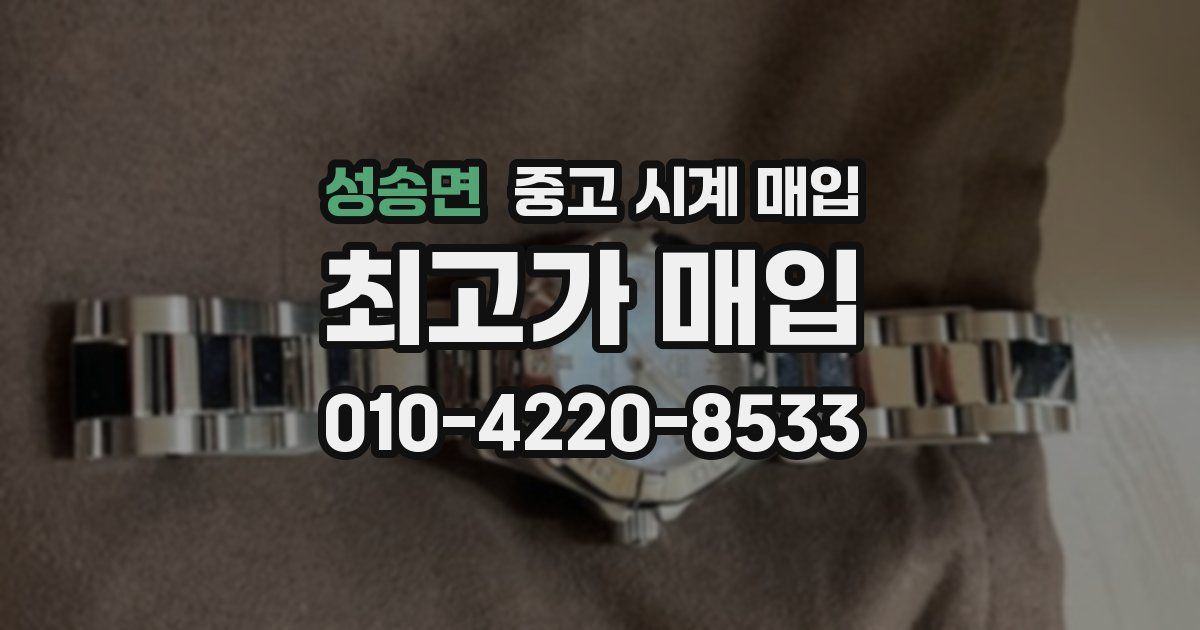 성송면 중고 시계 매입
