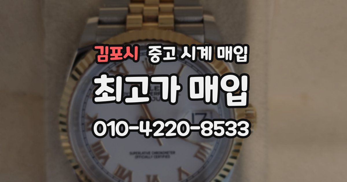 김포시 중고 시계 매입