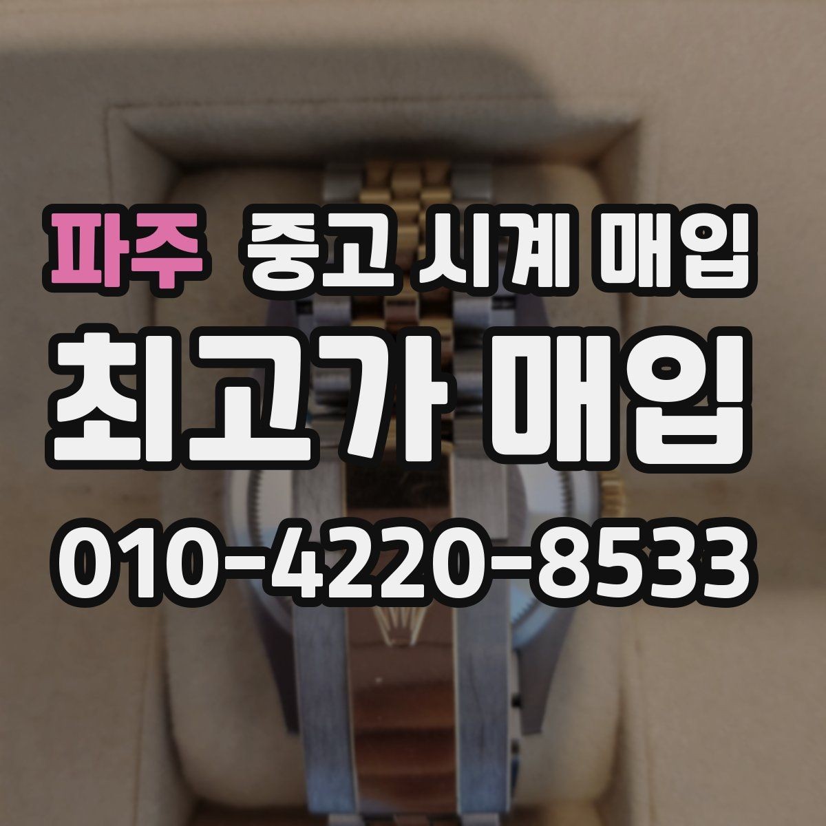 파주 중고 시계 매입 IWC 골드 라인 시세 포인트 정리