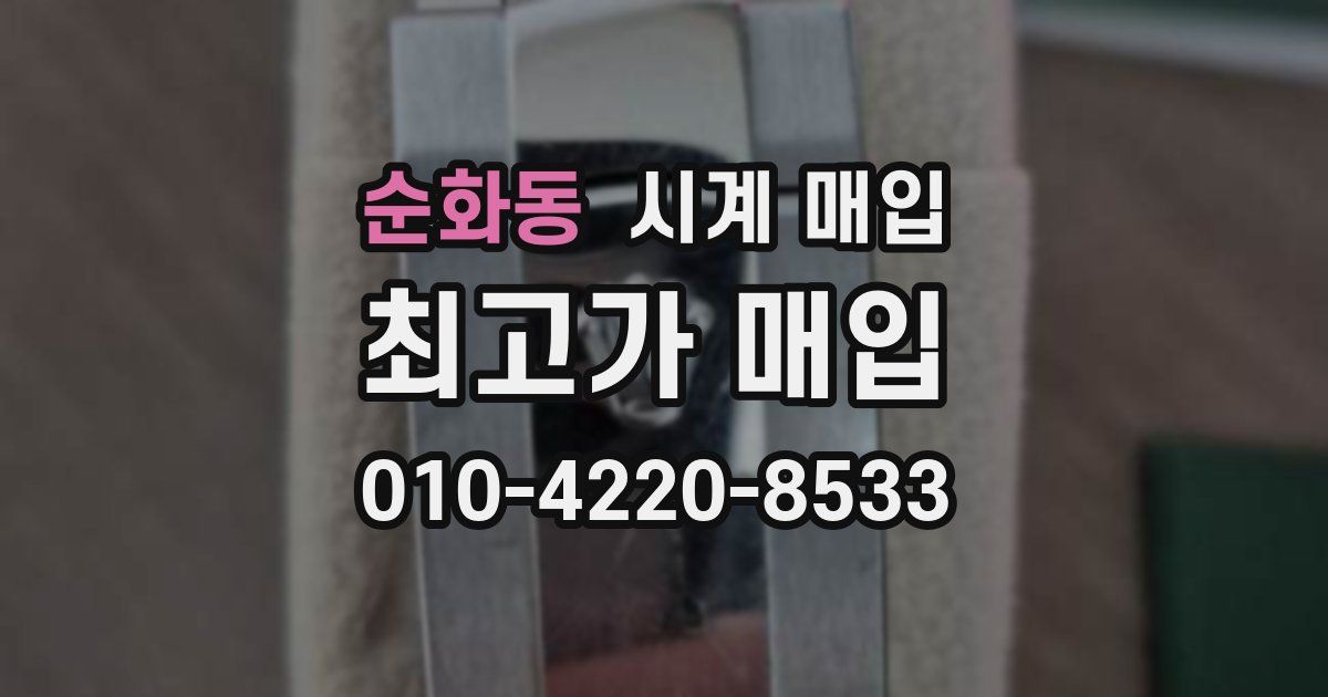 순화동 시계 매입