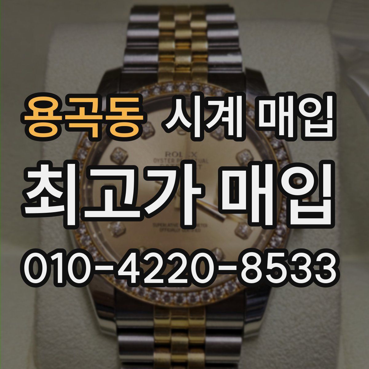 용곡동 시계 매입