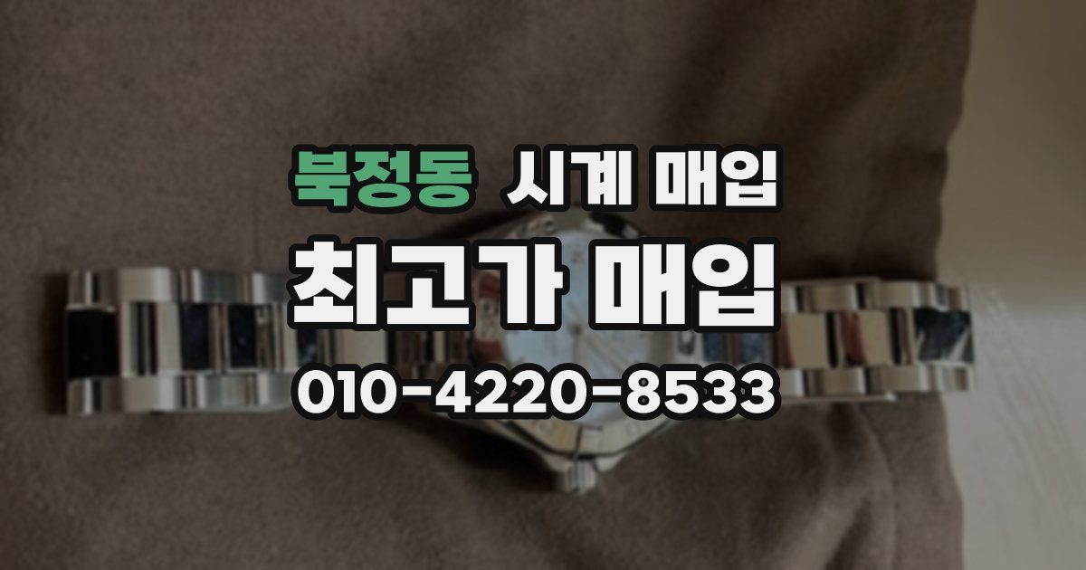 북정동 시계 매입