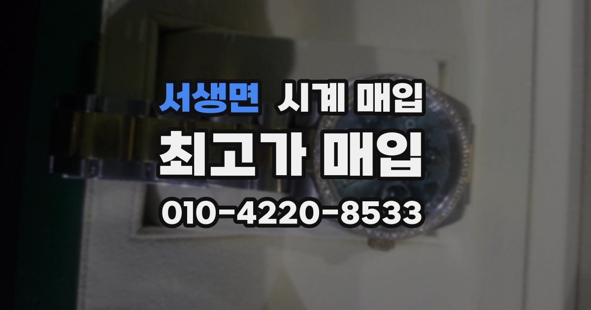 서생면 시계 매입