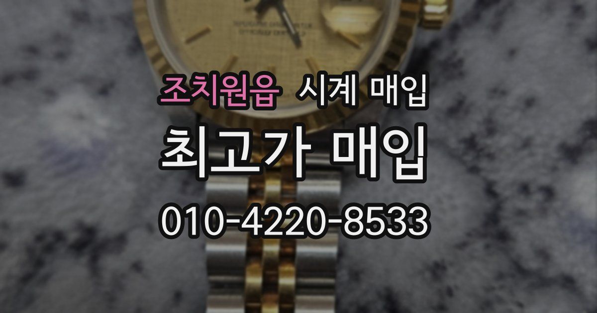 조치원읍 시계 매입