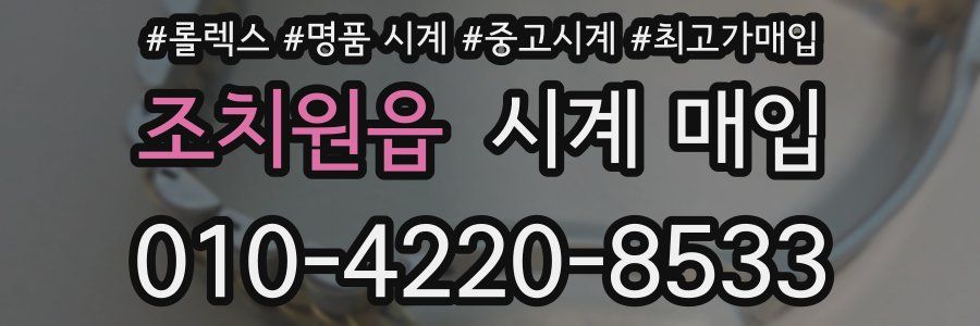 조치원읍 시계 매입