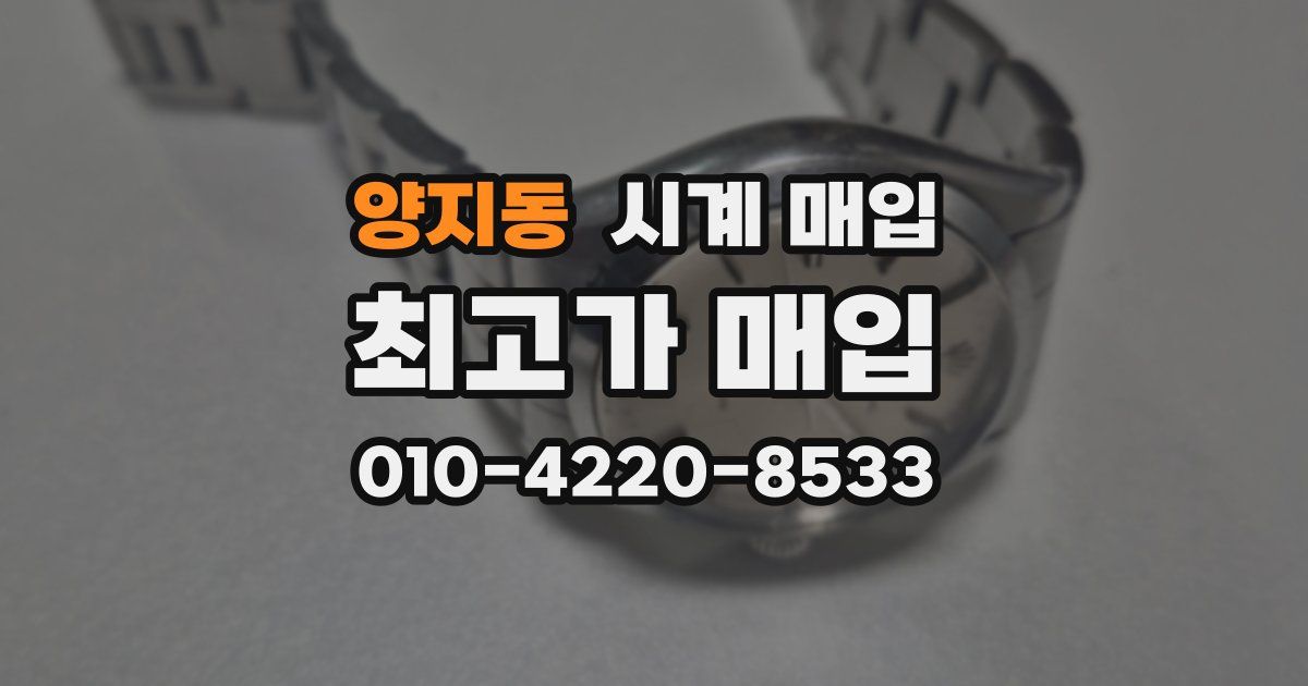 양지동 시계 매입