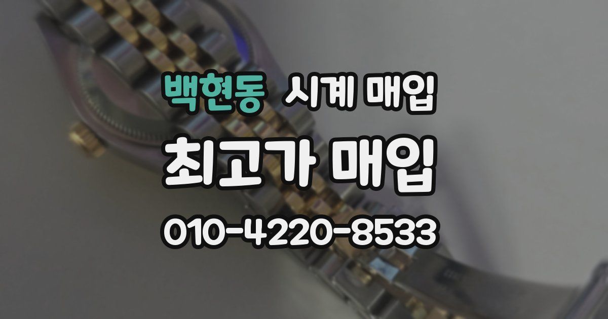 백현동 시계 매입