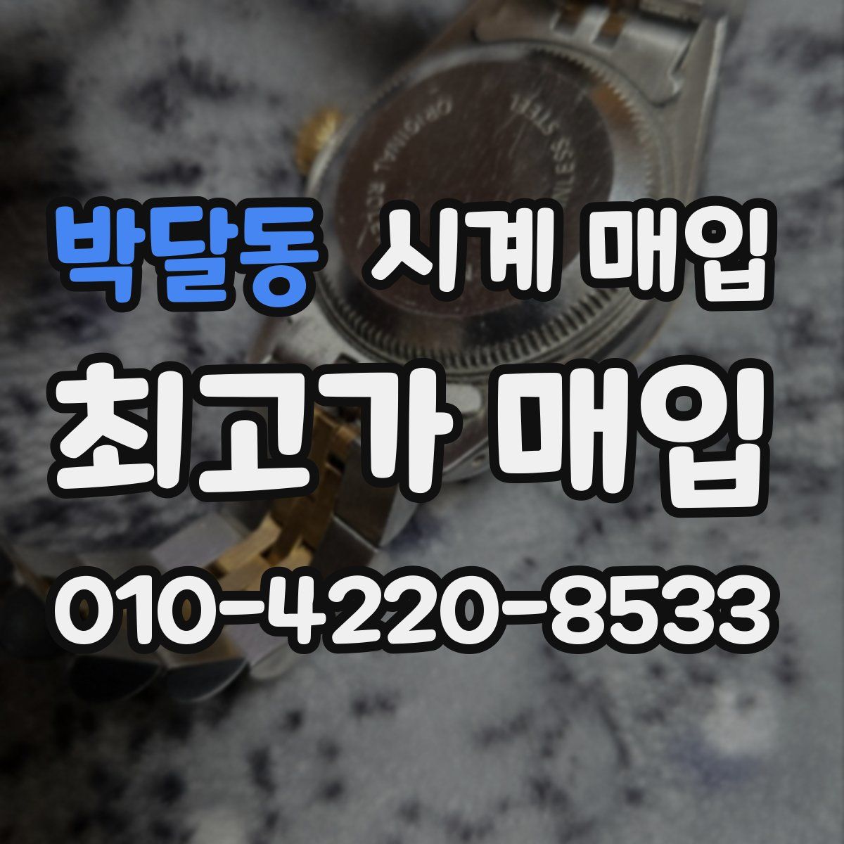 박달동 시계 매입