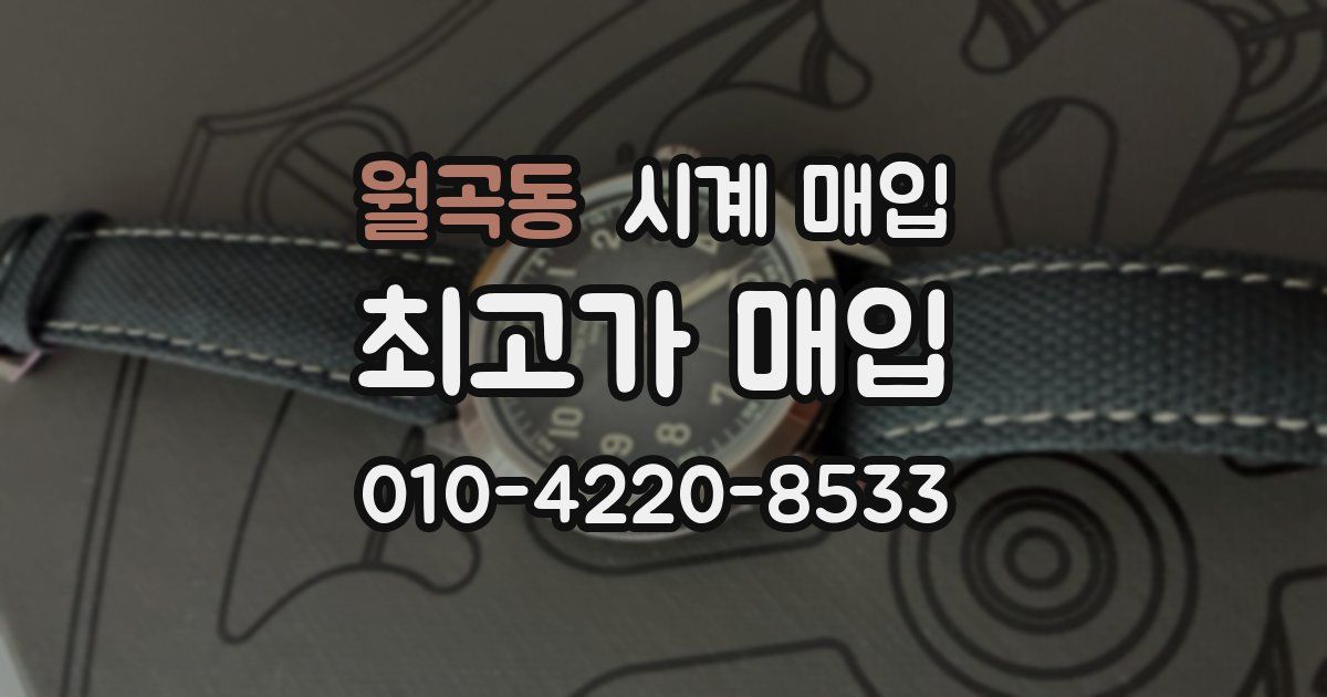 월곡동 시계 매입