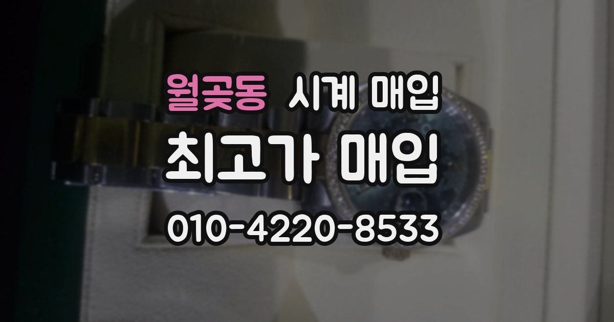 월곶동 시계 매입