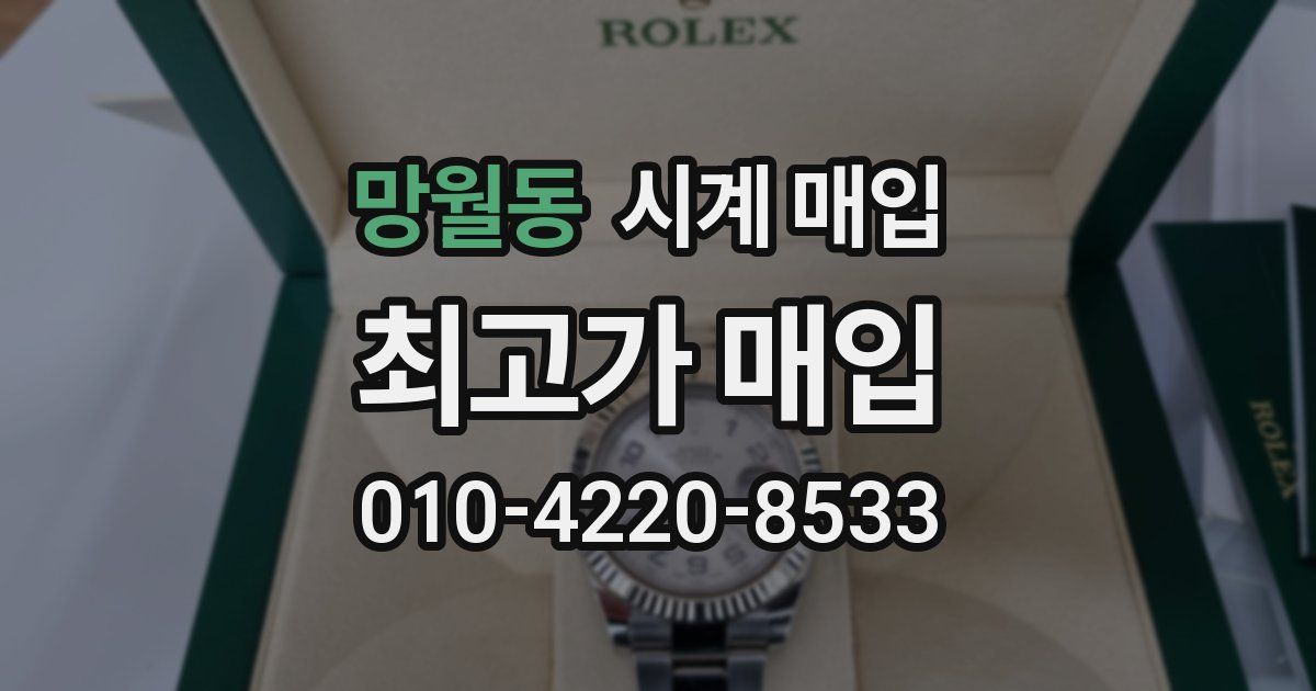 망월동 시계 매입