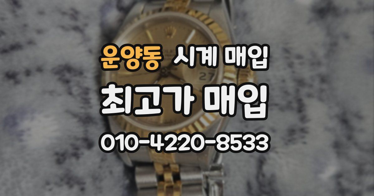 운양동 시계 매입