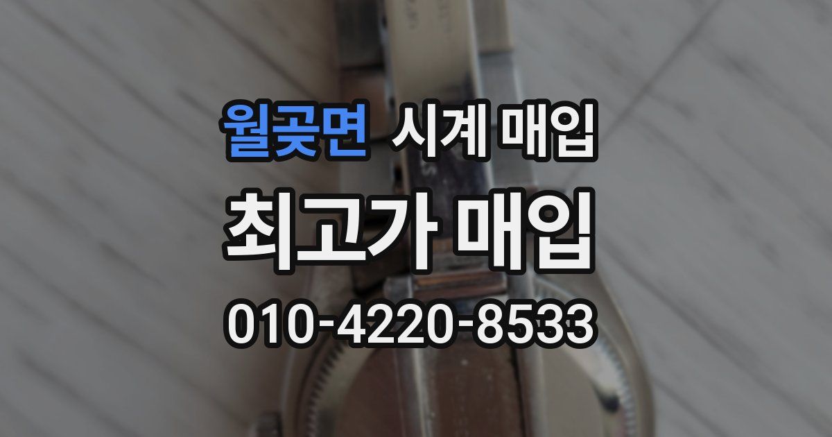 월곶면 시계 매입