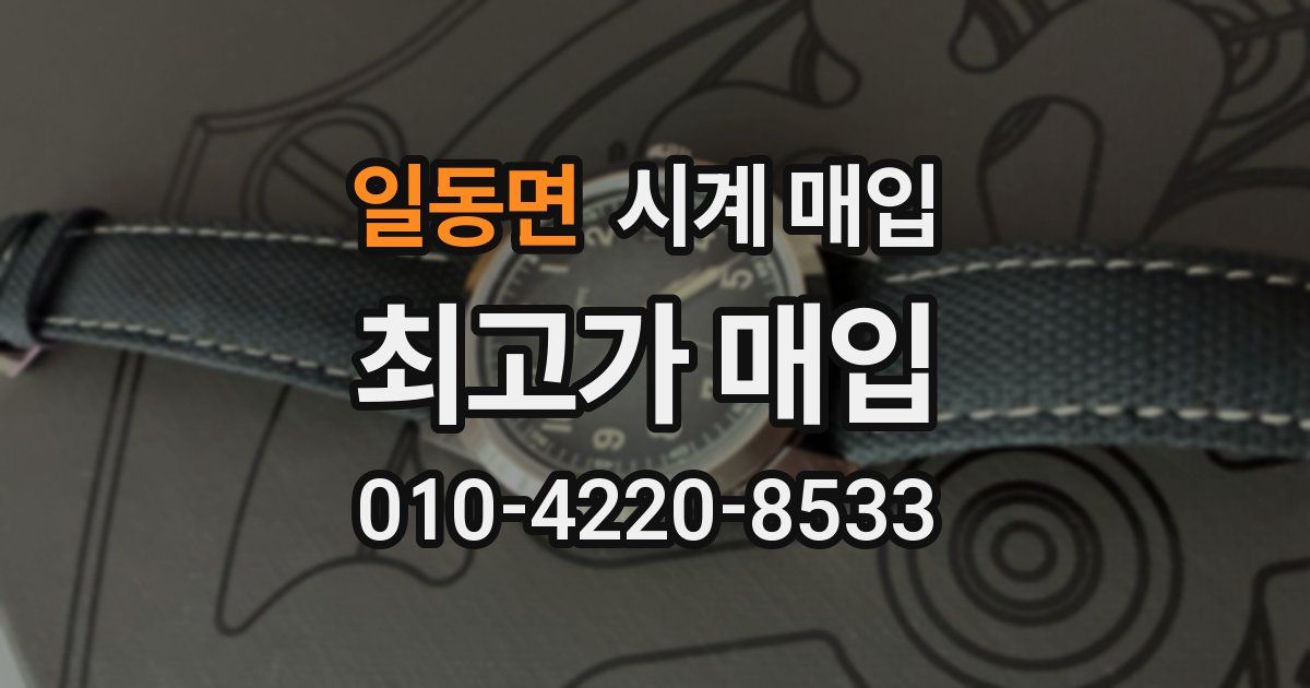 일동면 시계 매입