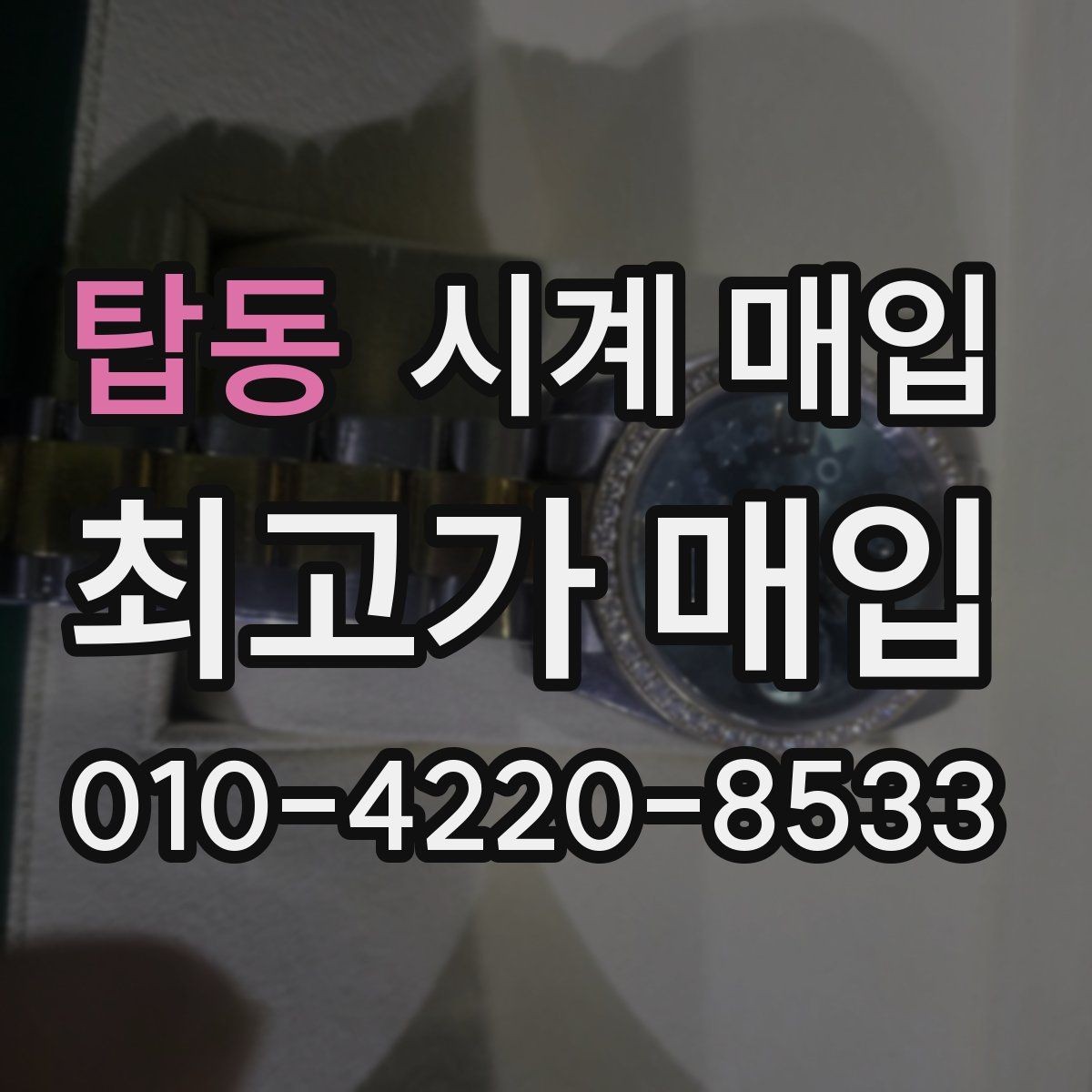 탑동 시계 매입 업체별 견적 차이 비교 항목