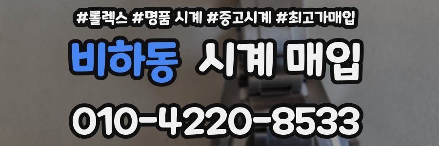 비하동 시계 매입