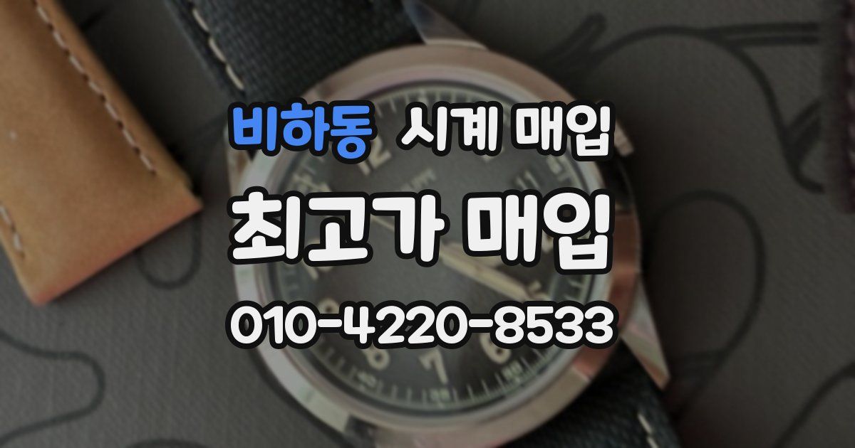 비하동 시계 매입