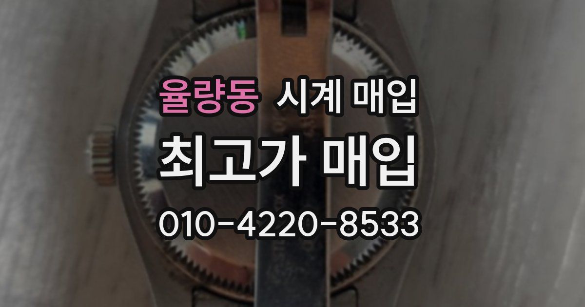 율량동 시계 매입