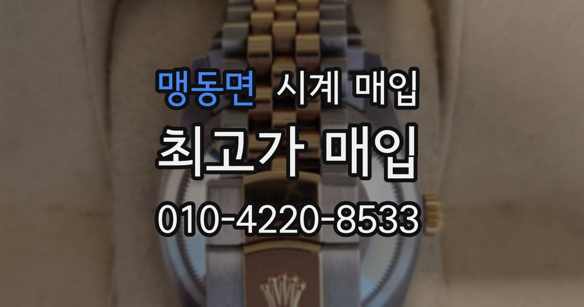 맹동면 시계 매입