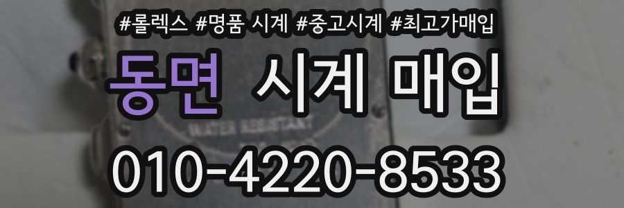 동면 시계 매입