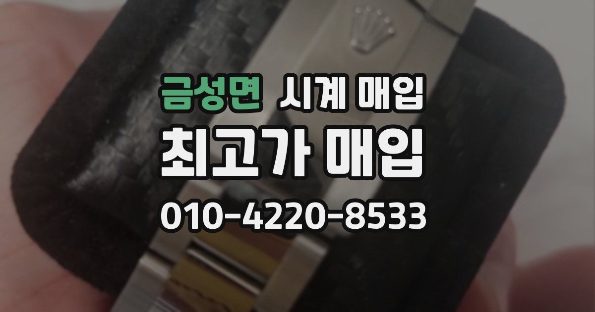 금성면 시계 매입
