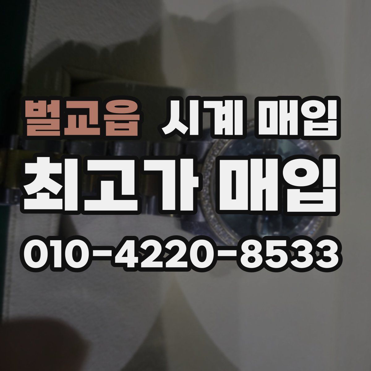 벌교읍 시계 매입