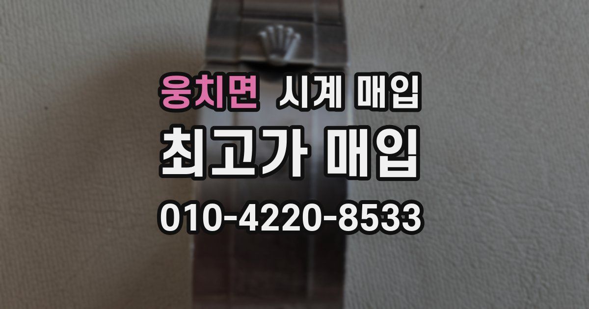 웅치면 시계 매입