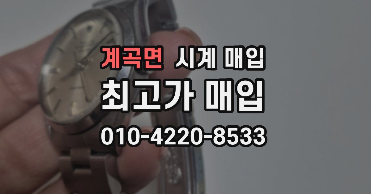 계곡면 시계 매입
