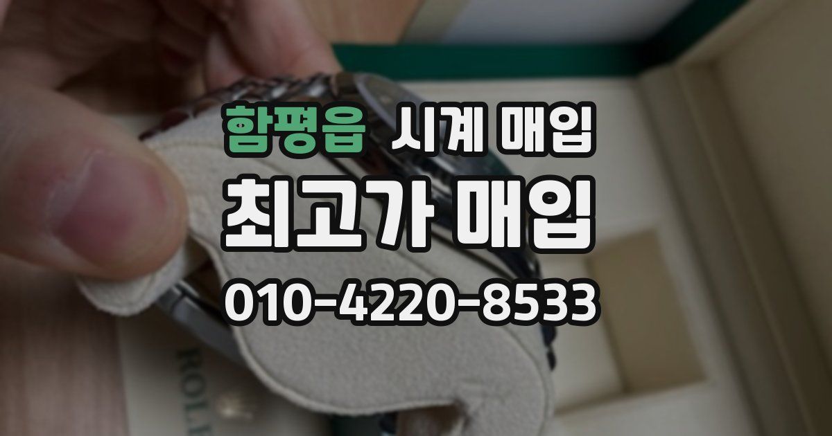 함평읍 시계 매입