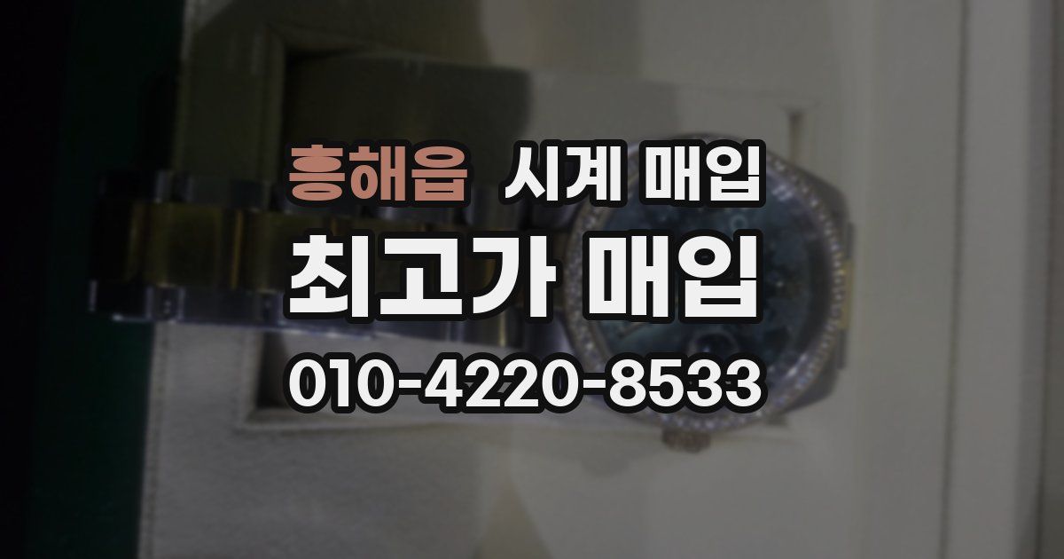 흥해읍 시계 매입