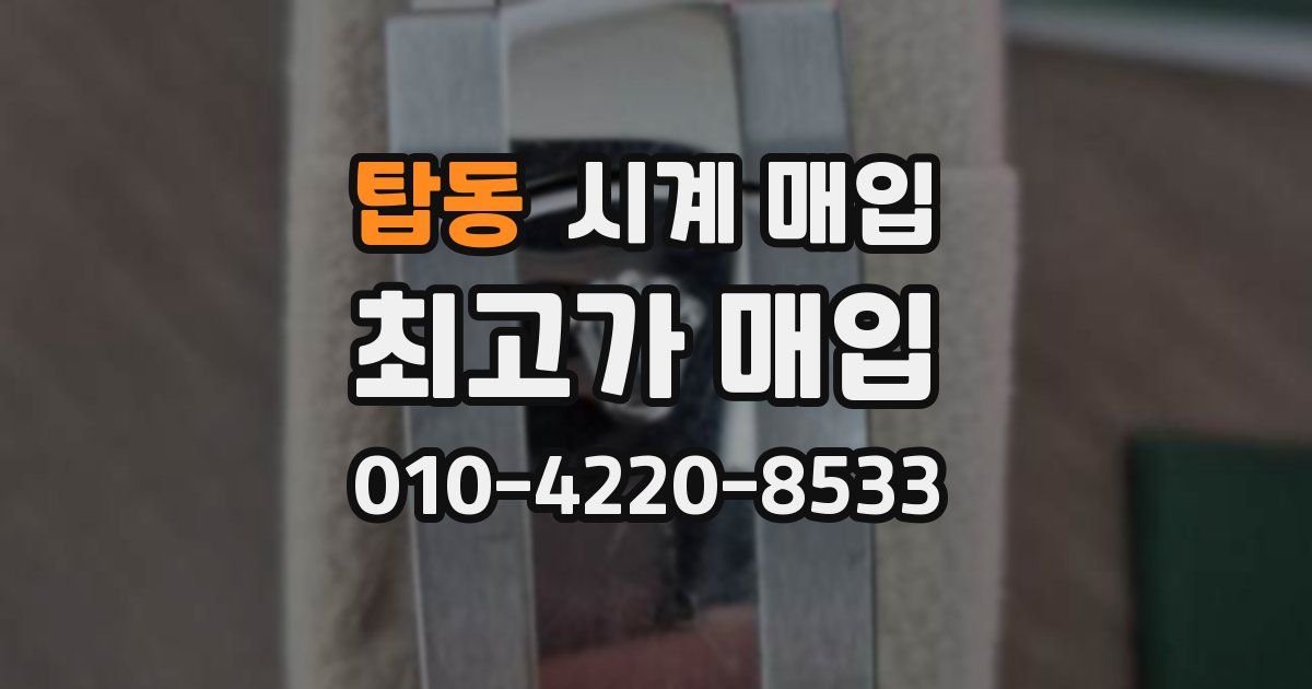 탑동 시계 매입