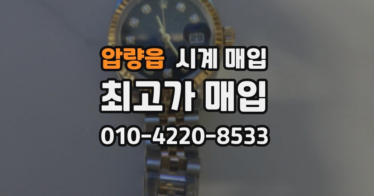 압량읍 시계 매입