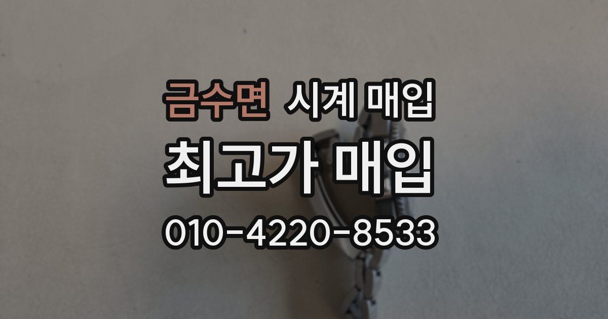 금수면 시계 매입