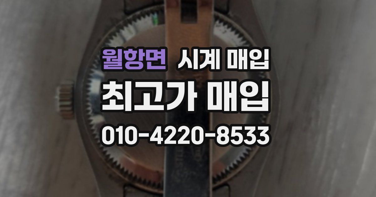 월항면 시계 매입