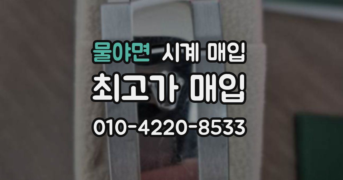 물야면 시계 매입