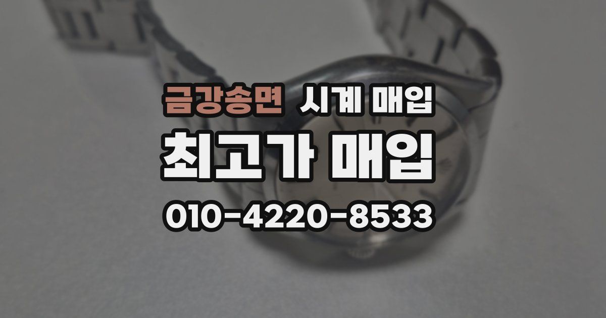 금강송면 시계 매입