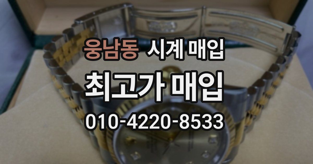 웅남동 시계 매입