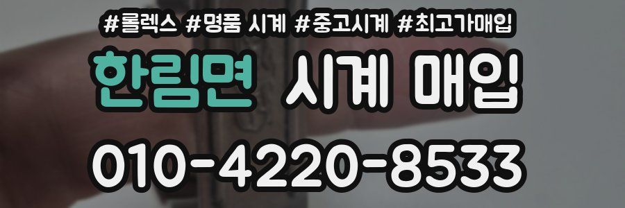 한림면 시계 매입