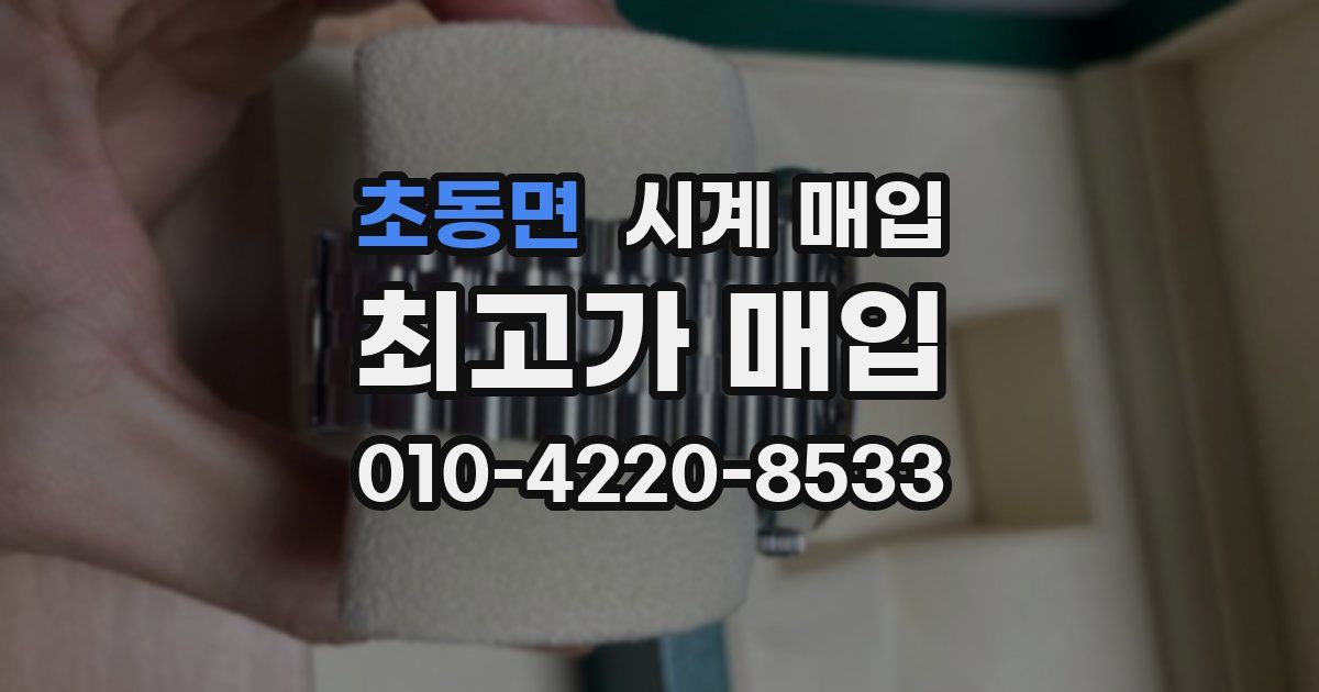초동면 시계 매입