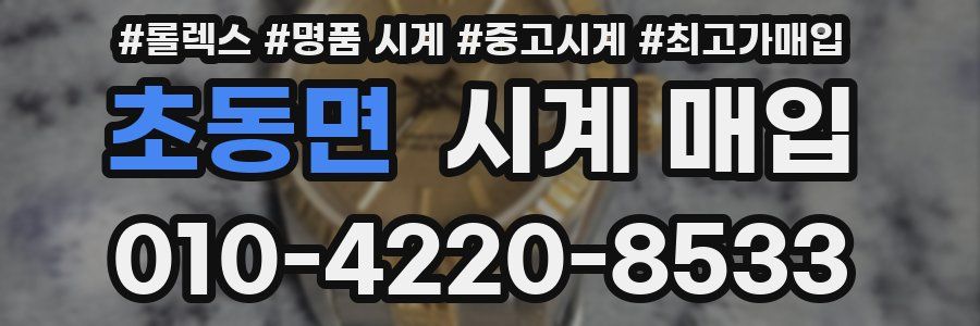 초동면 시계 매입