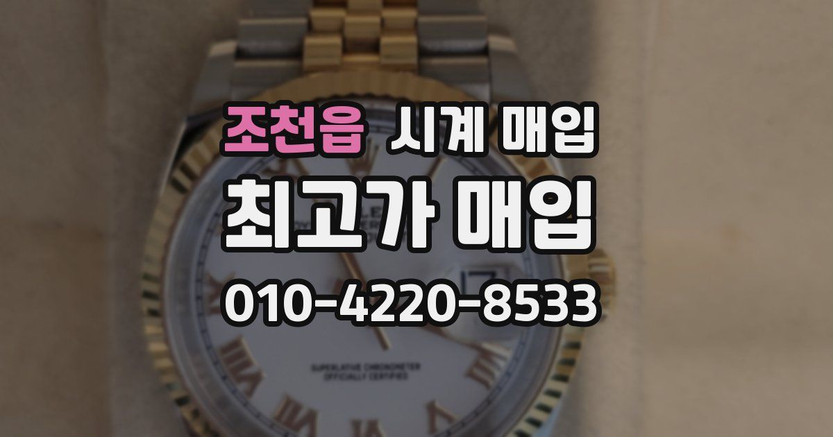 조천읍 시계 매입