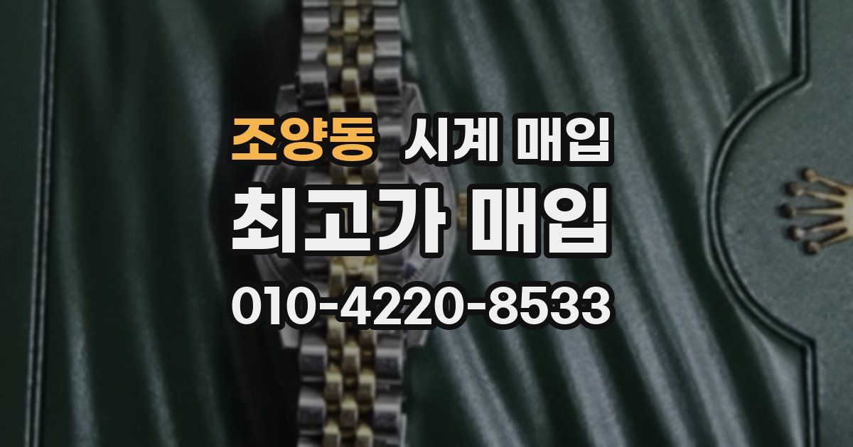 조양동 시계 매입