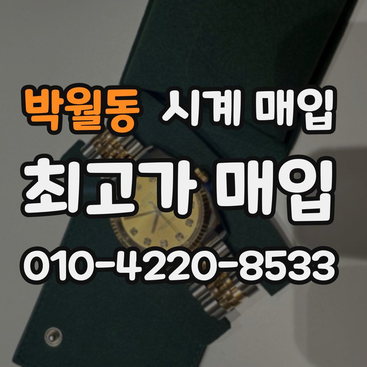 박월동 시계 매입