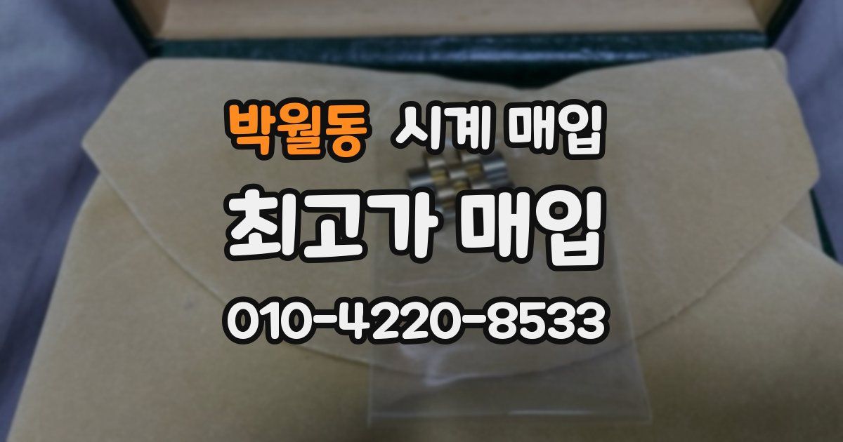 박월동 시계 매입