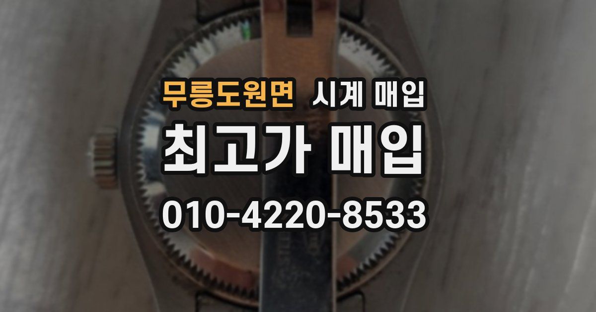 무릉도원면 시계 매입