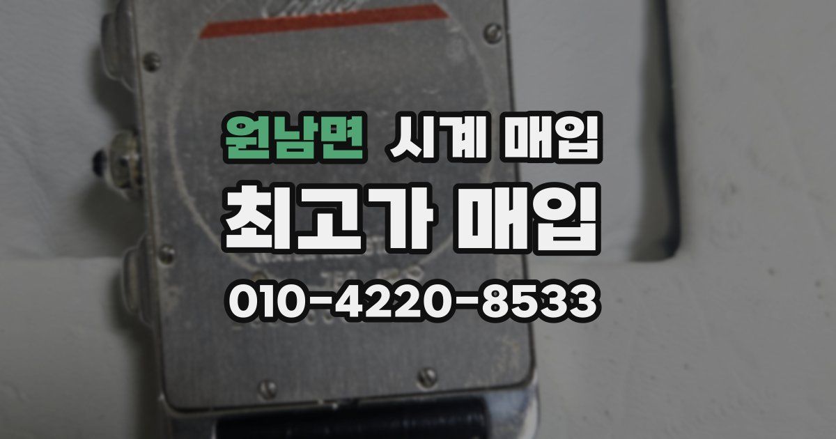 원남면 시계 매입