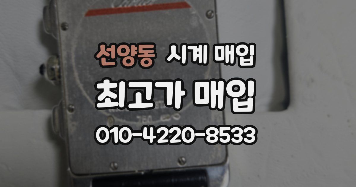 선양동 시계 매입