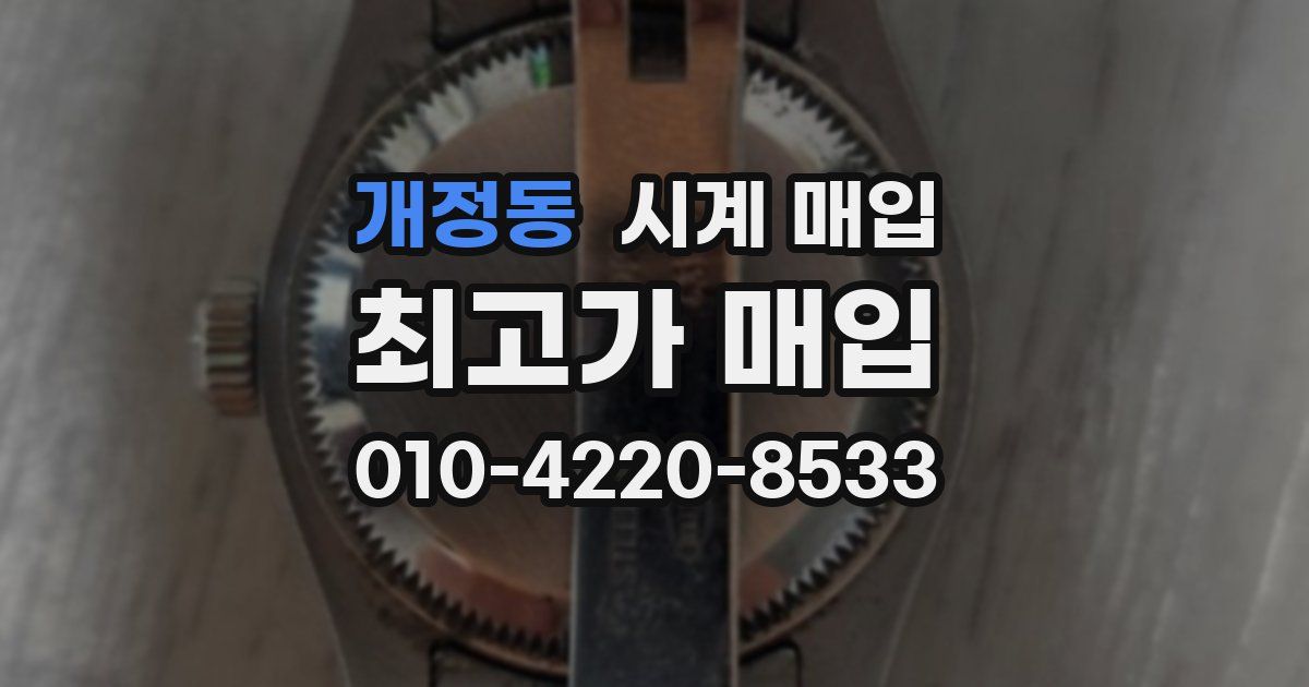 개정동 시계 매입